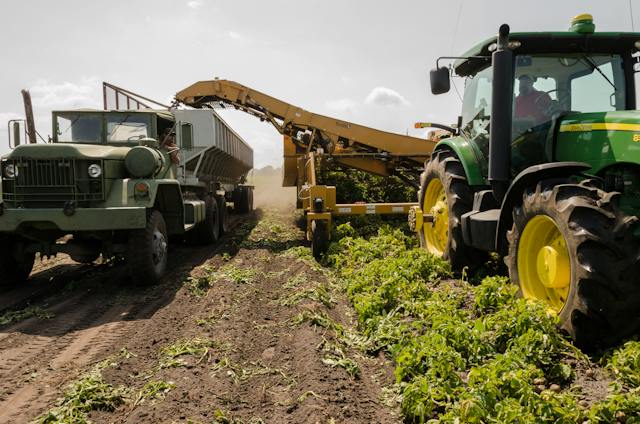 La sostenibilità ambientale nell'industria agroalimentare: Strategie per tutelare il pianeta